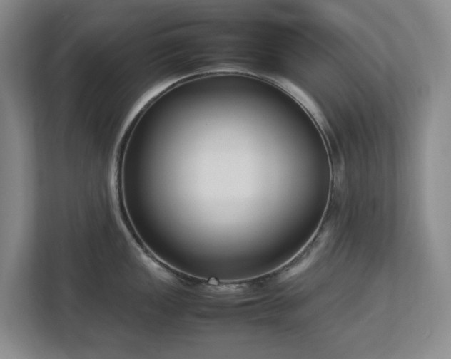 X0000113031149200909031246