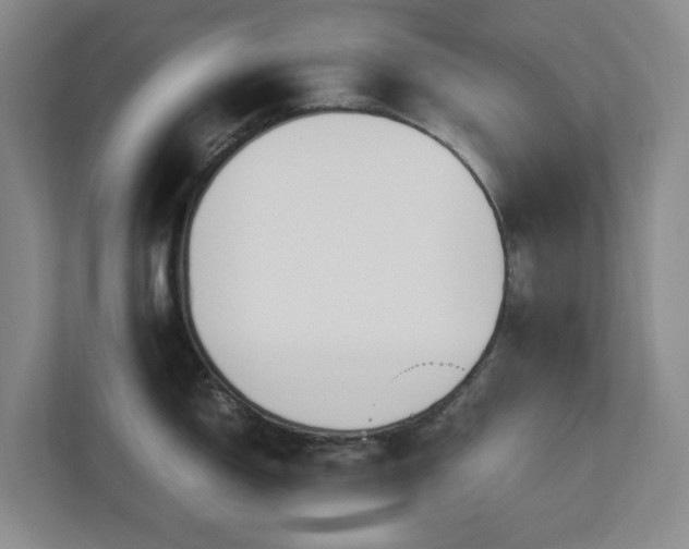 X0000113031150200909031246