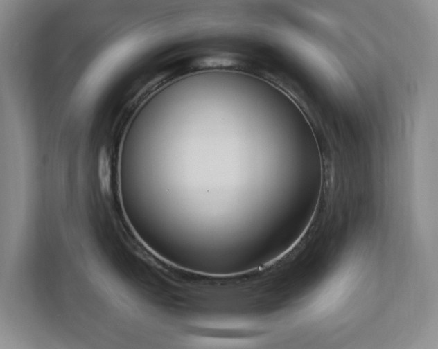 X0000113031151200909031246