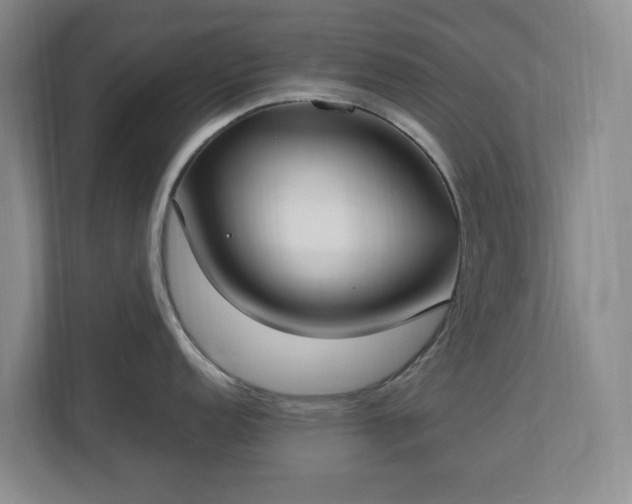 X0000113031152200909031246