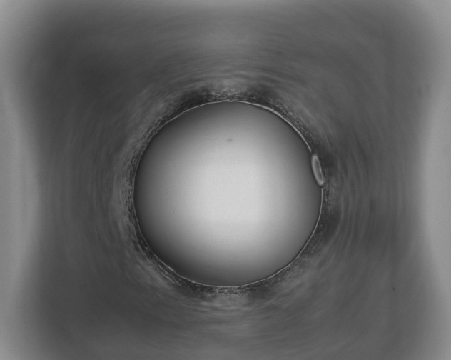 X0000113031153200909031246