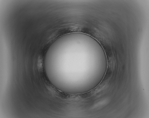 X0000113031154200909031246