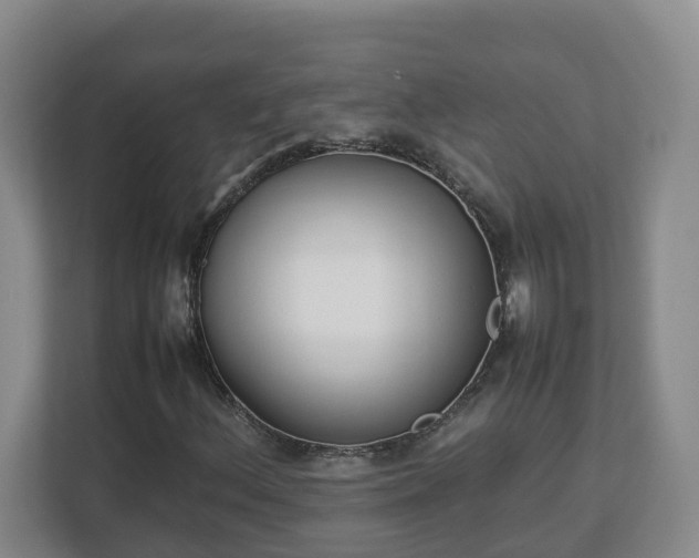 X0000113031156200909031246