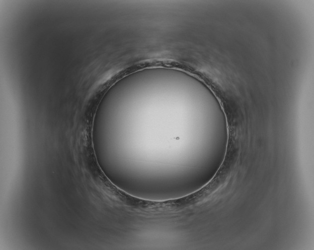 X0000113031159200909031246