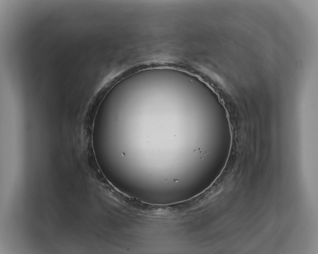 X0000113031160200909031246