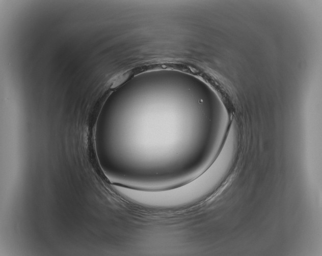 X0000113031161200909031246