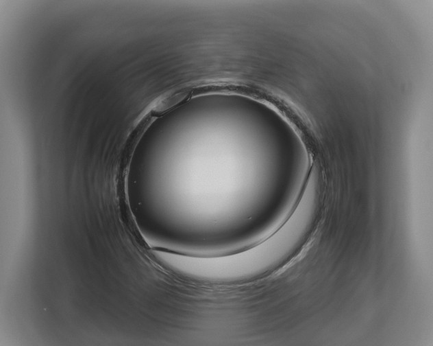 X0000113031162200909031246