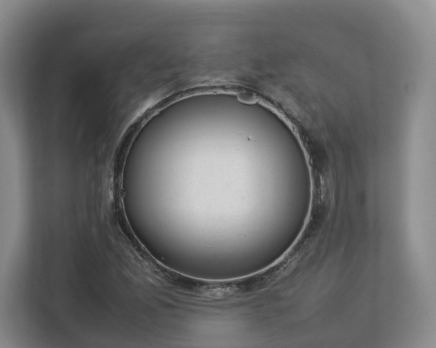 X0000113031165200909031246