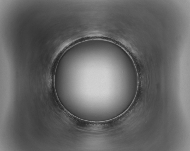 X0000113031167200909031246