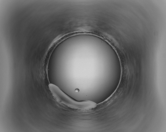 X0000113031168200909031246