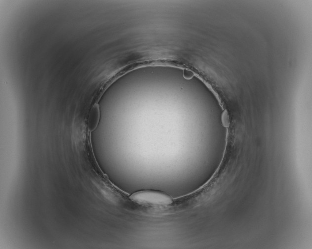 X0000113031169200909031246