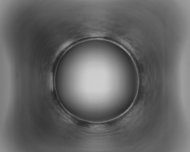 X0000113031171200909031246