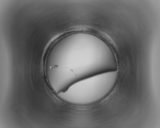 X0000113031172200909031246