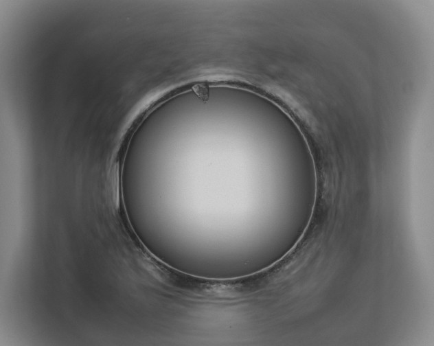 X0000113031175200909031246