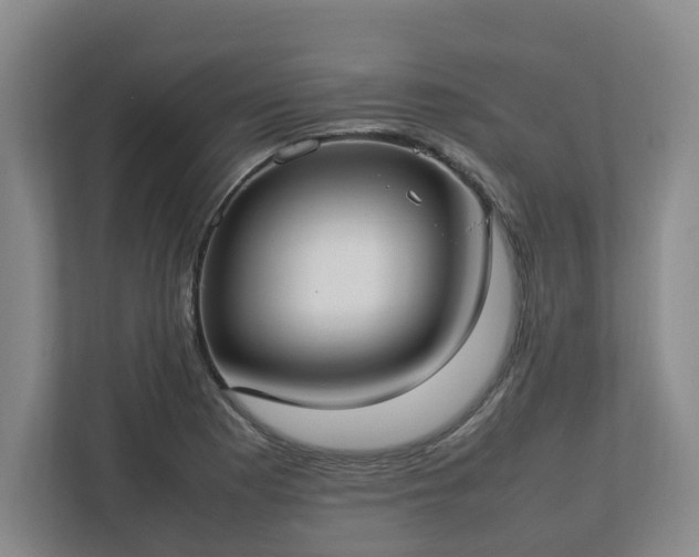 X0000113031177200909031245