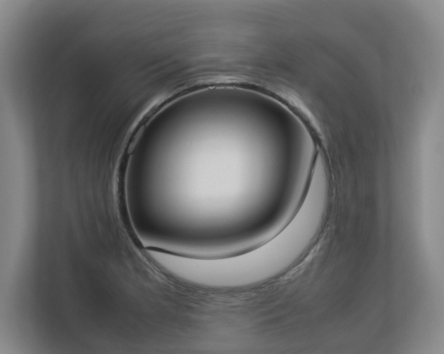 X0000113031181200909031245