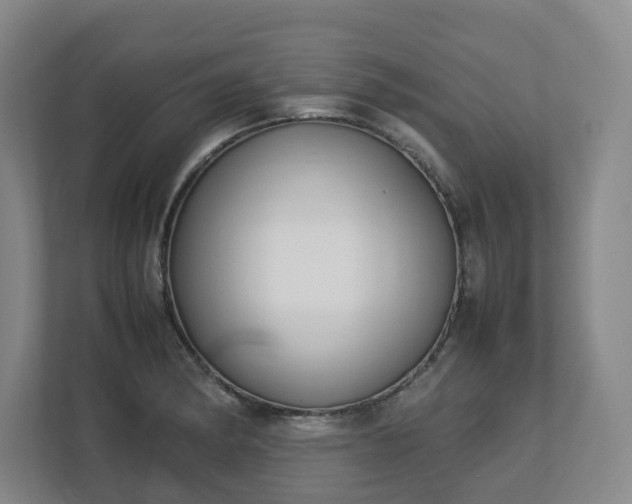 X0000113031182200909031245