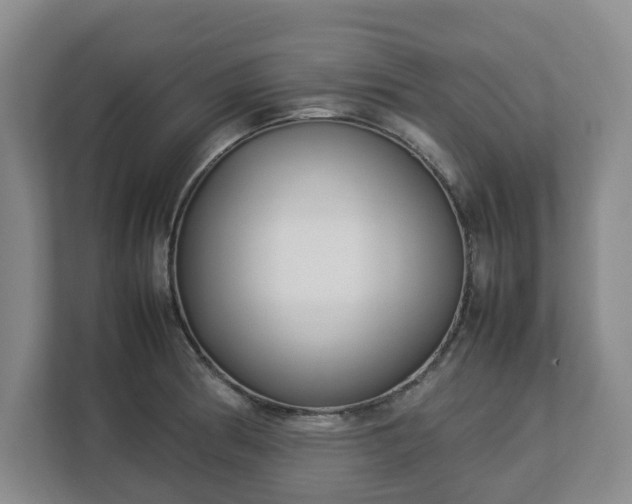 X0000113031186200909031245