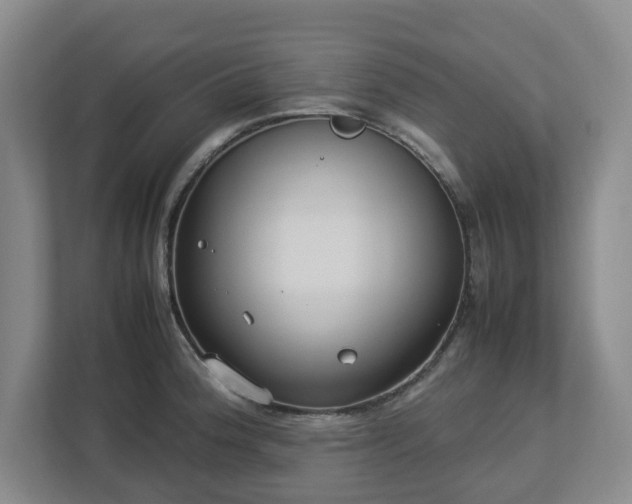 X0000113031188200909031245