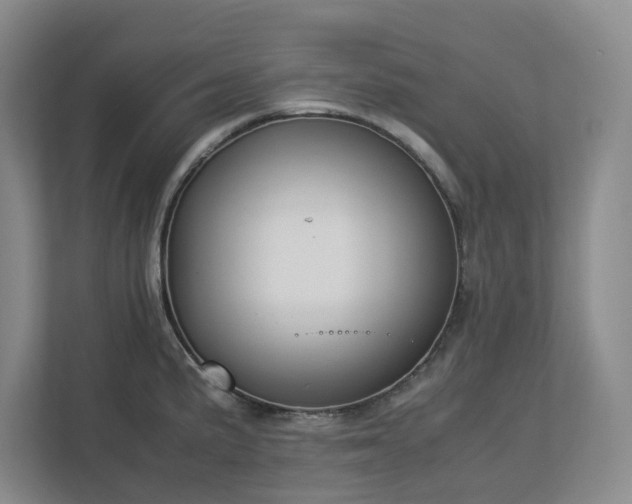 X0000113031191200909031245