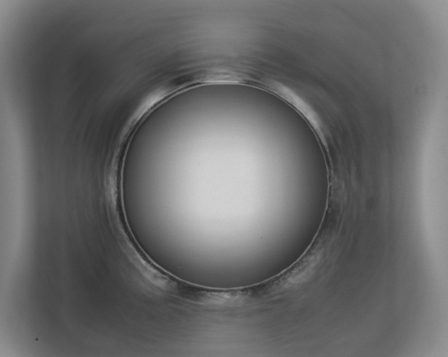 X0000113031195200909031245