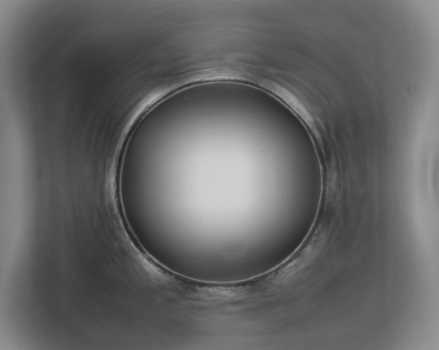 X0000113031197200909031245