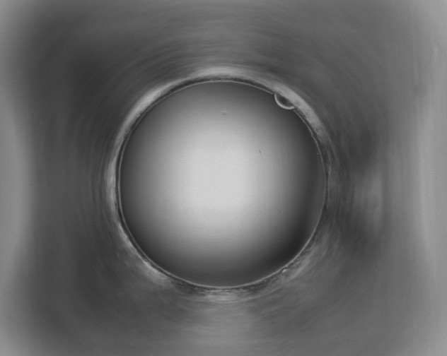 X0000113031199200909031245