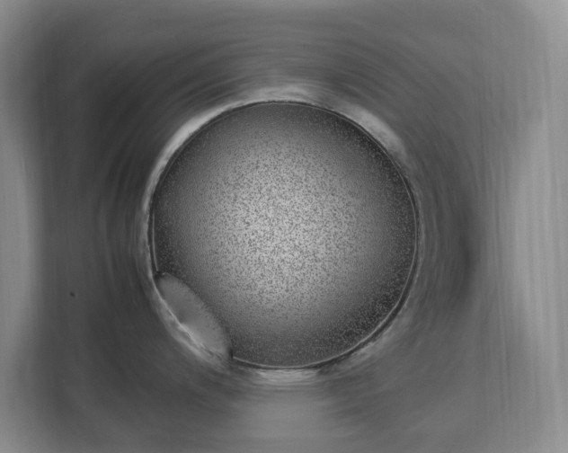 X0000113031200200909031245