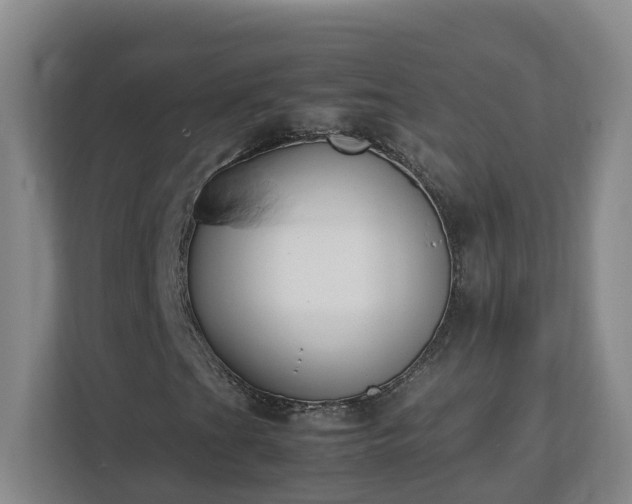 X0000113031201200909031245