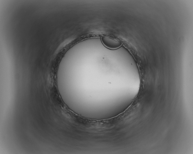 X0000113031207200909031245