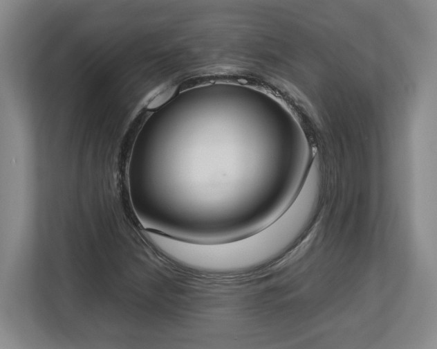 X0000113031210200909031245