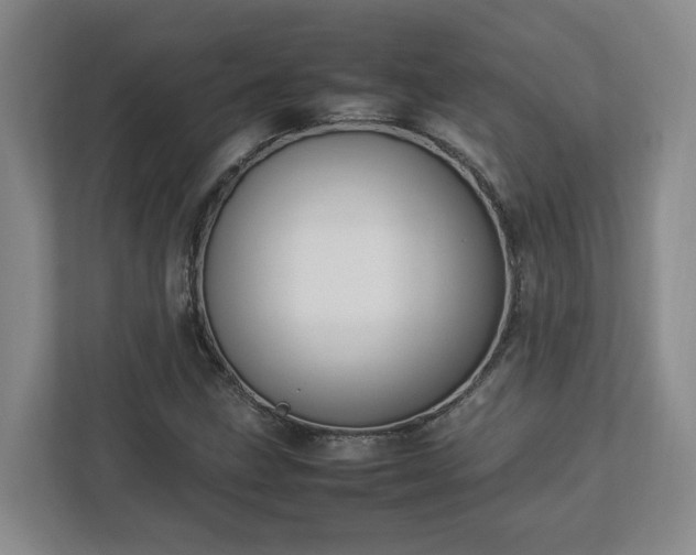 X0000113031211200909031245