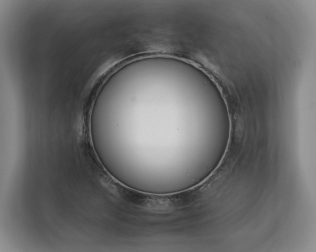 X0000113031215200909031245