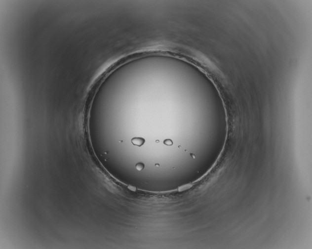 X0000113031216200909031245