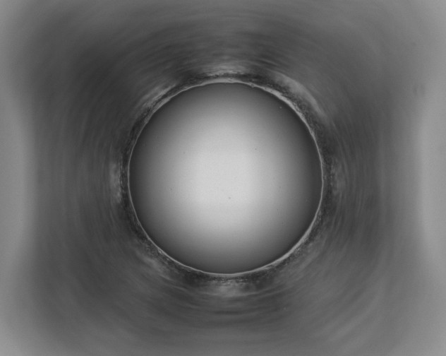 X0000113031217200909031245