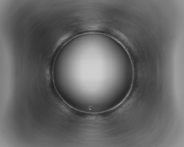 X0000113031218200909031245