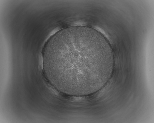 X0000113031219200909031245