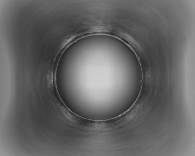 X0000113031220200909031245