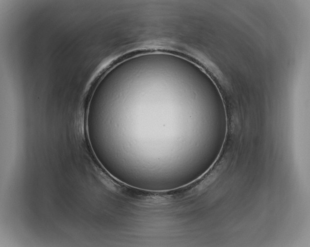 X0000113031224200909031245