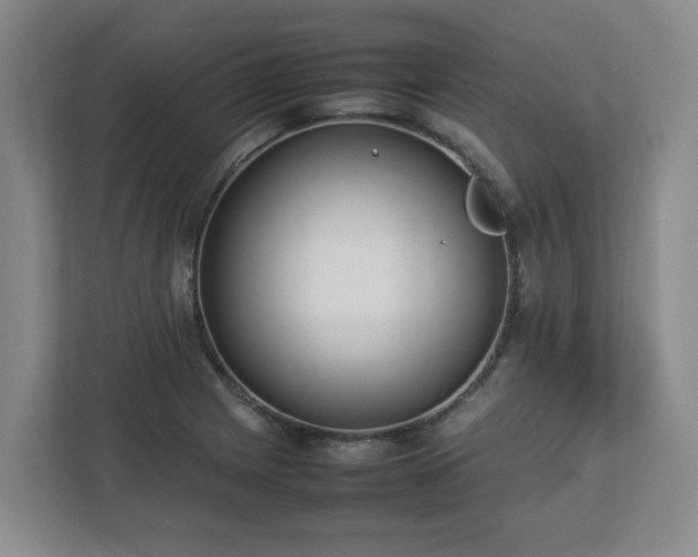 X0000113031225200909031245