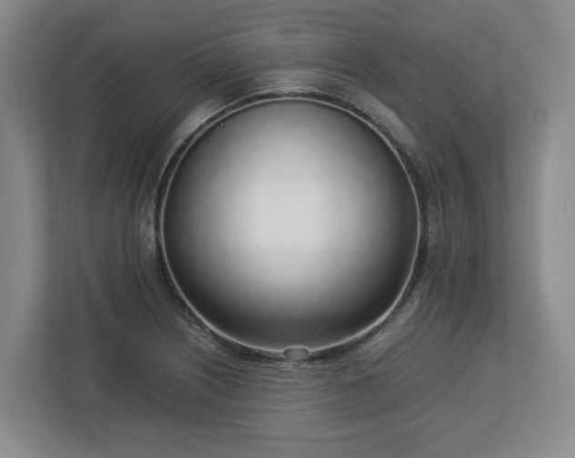 X0000113031226200909031245