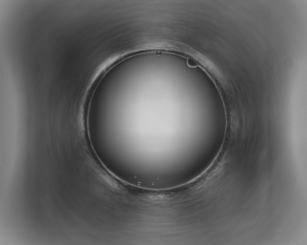 X0000113031230200909031245