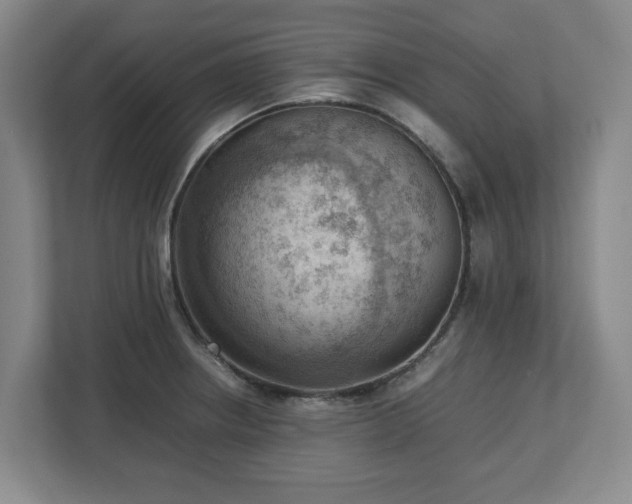 X0000113031234200909031245