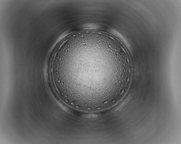 X0000113031235200909031245