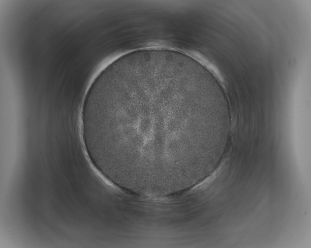 X0000113031239200909031245