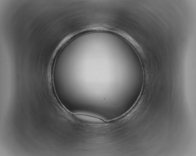 X0000113031240200909031245