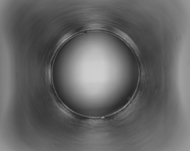 X0000113031242200909031245