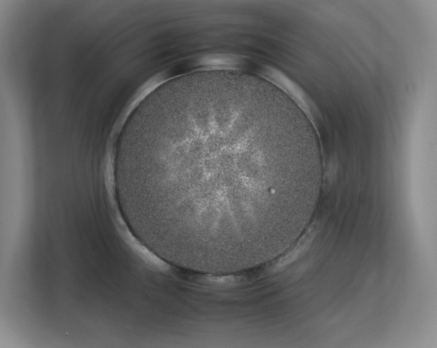 X0000113031243200909031245