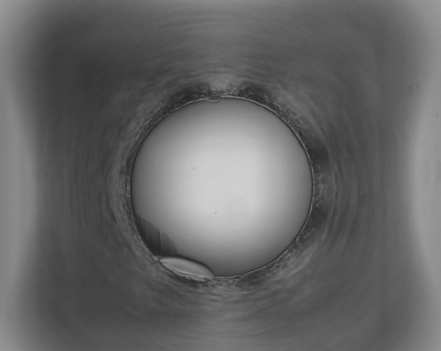 X0000113031249200909031245