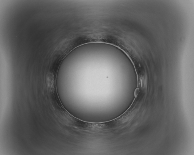 X0000113031251200909031245